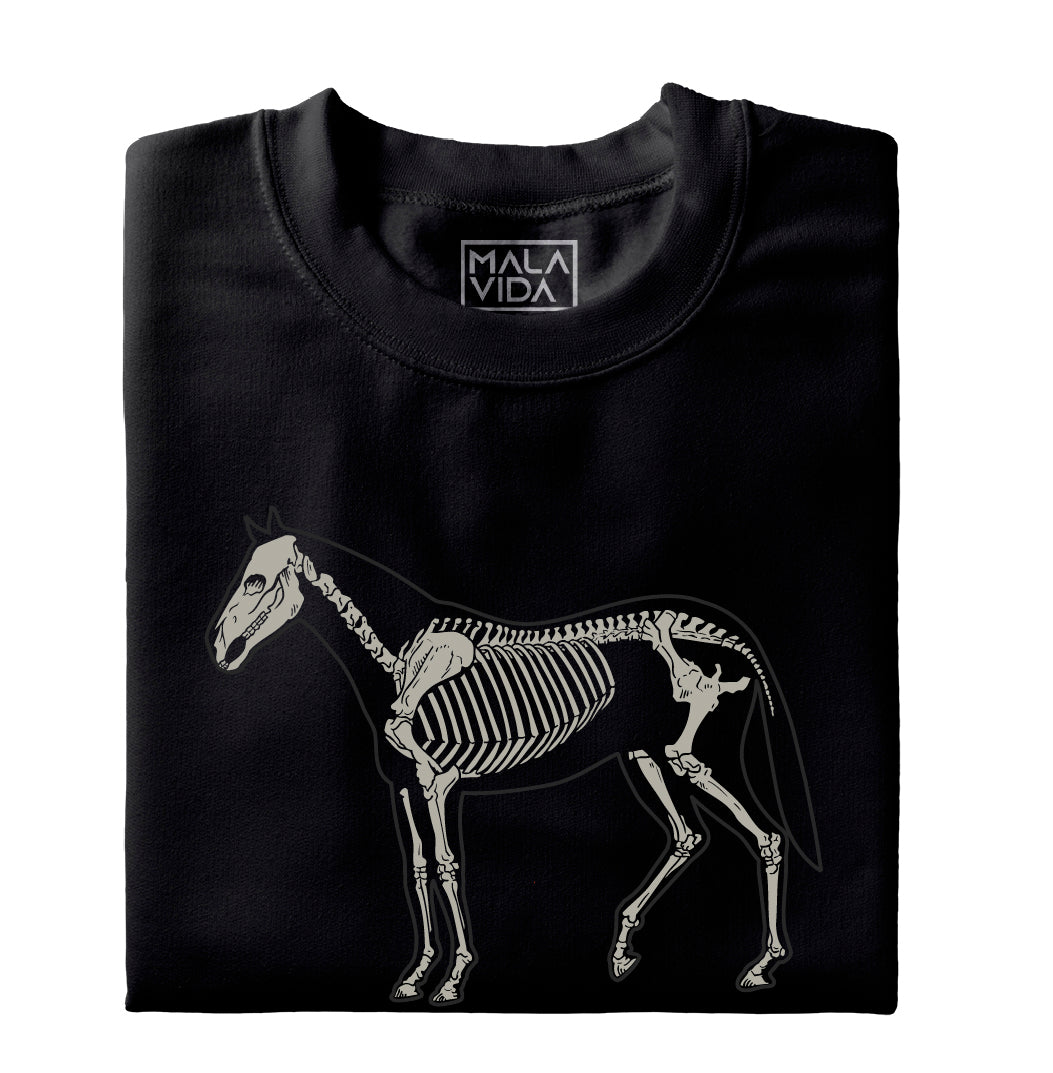 Caballo sistema óseo