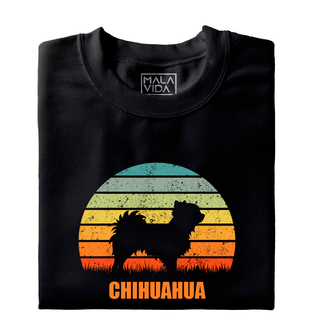 Chihuahua 2