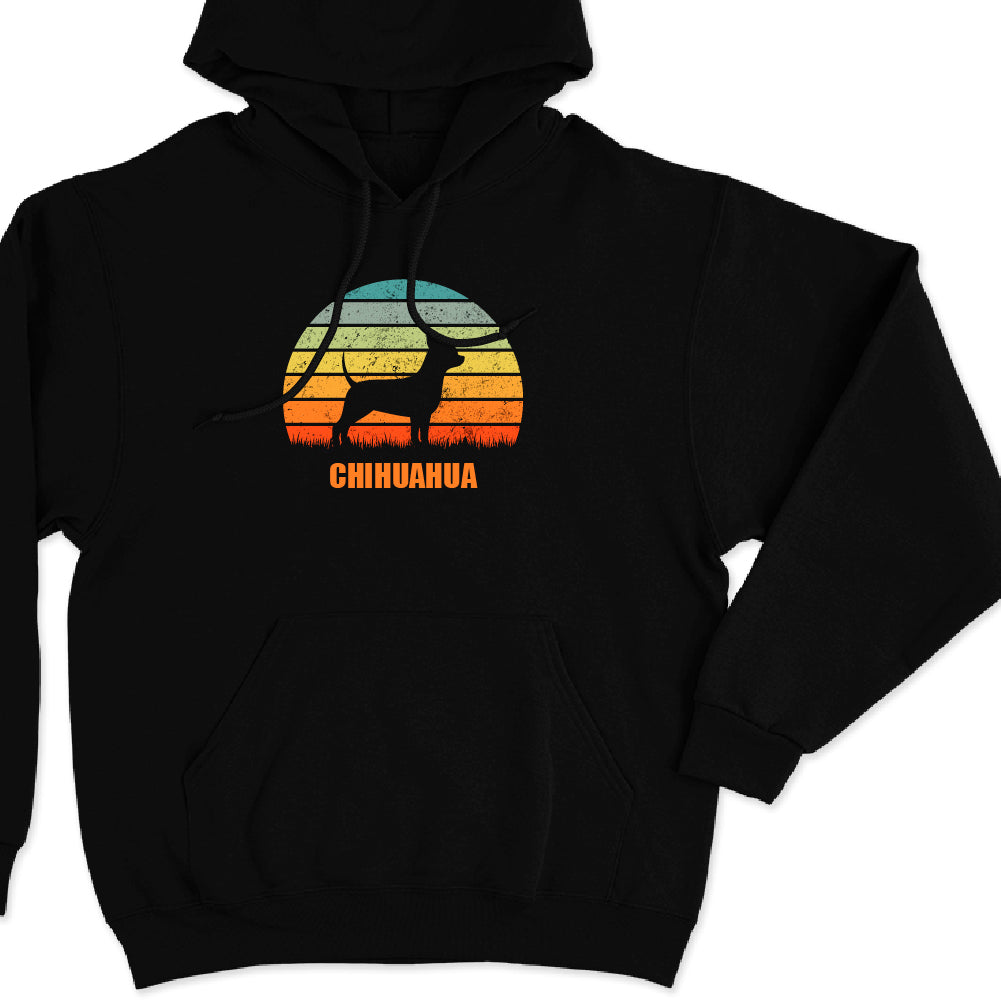 Chihuahua 1
