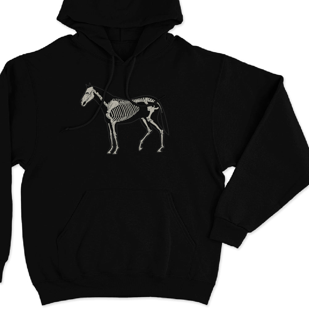 Caballo sistema óseo