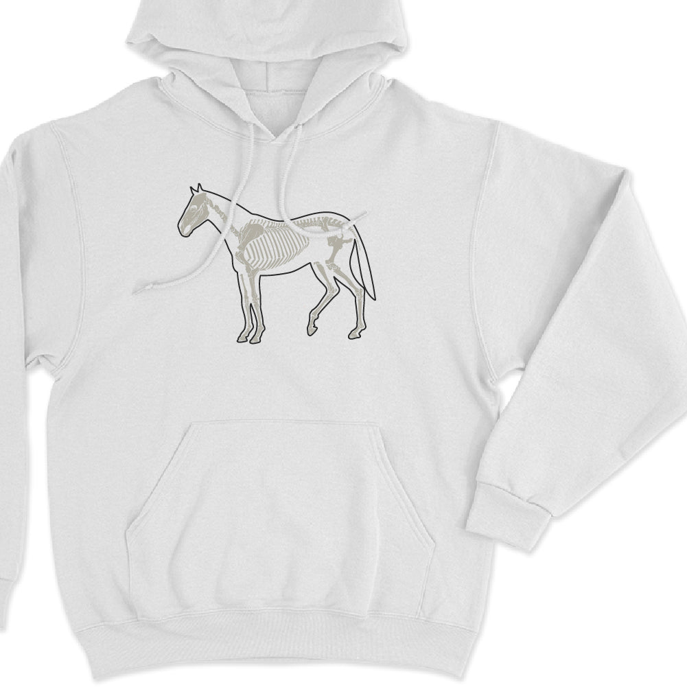 Caballo sistema óseo