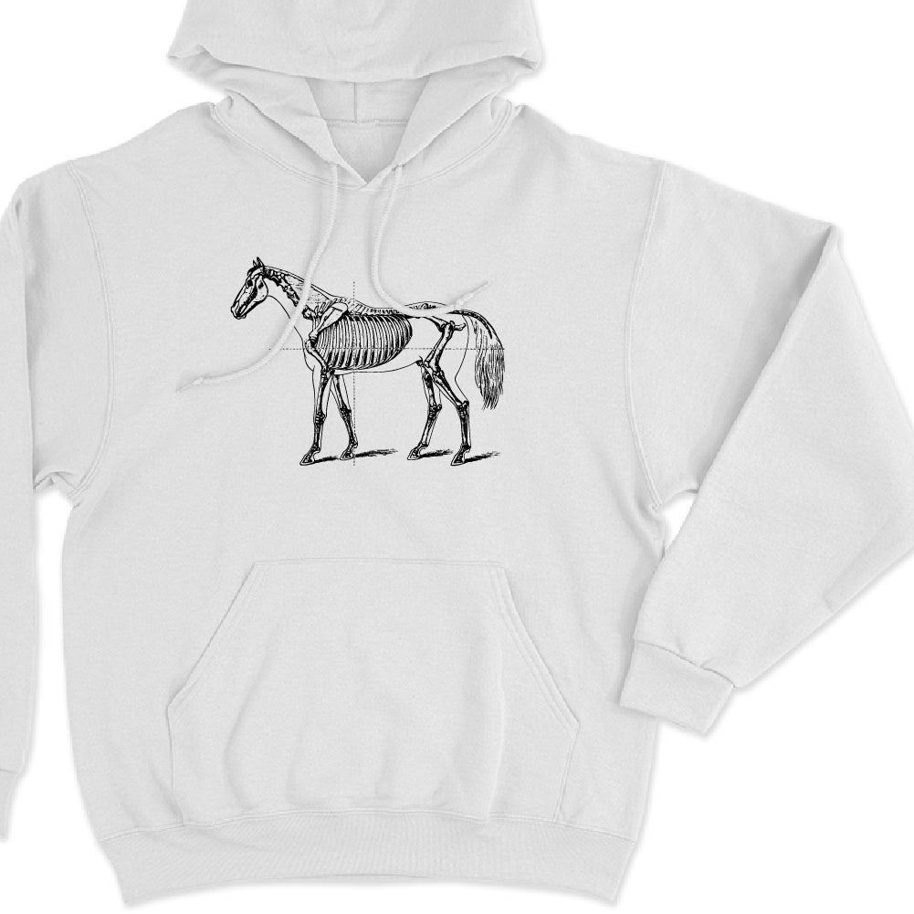 Esqueleto de Caballo