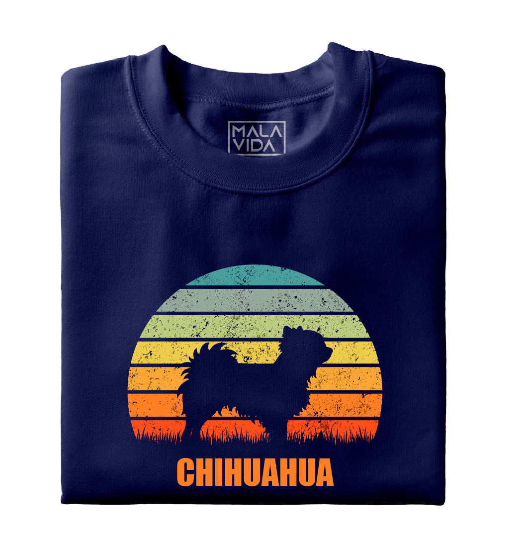 Chihuahua 2