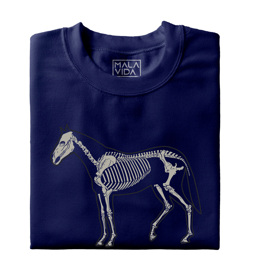 Caballo sistema óseo