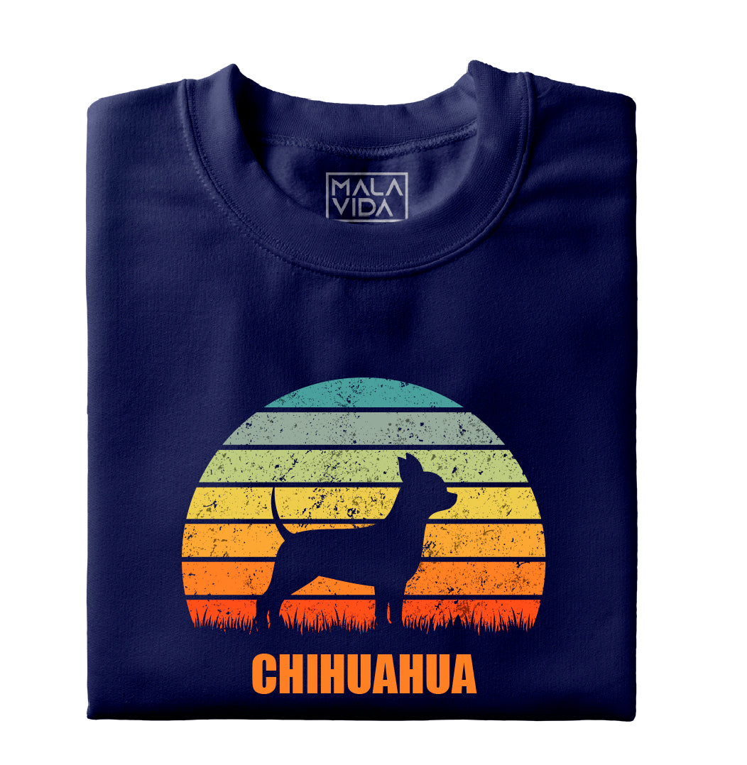 Chihuahua 1