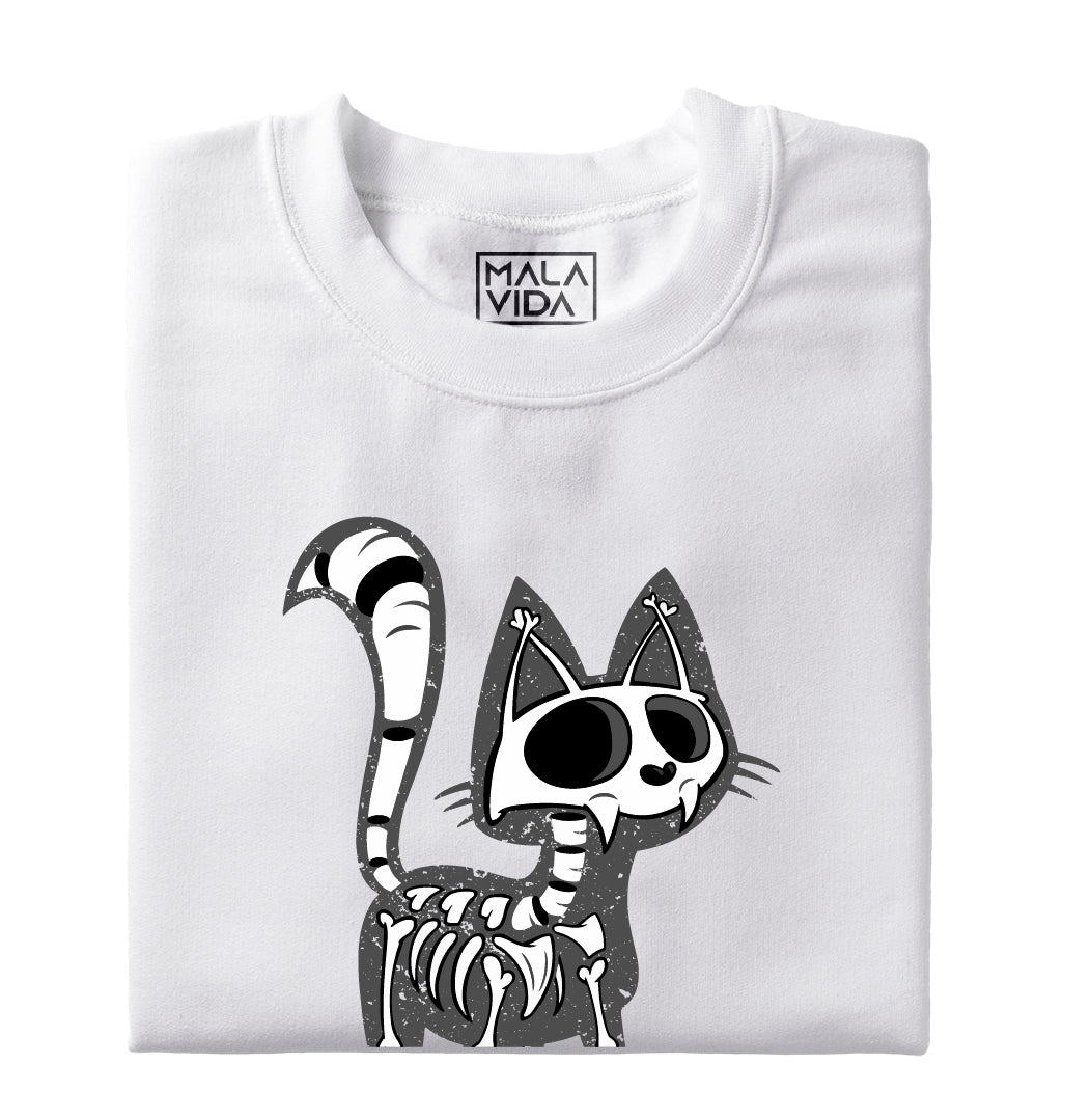 Radiografía de mi gato