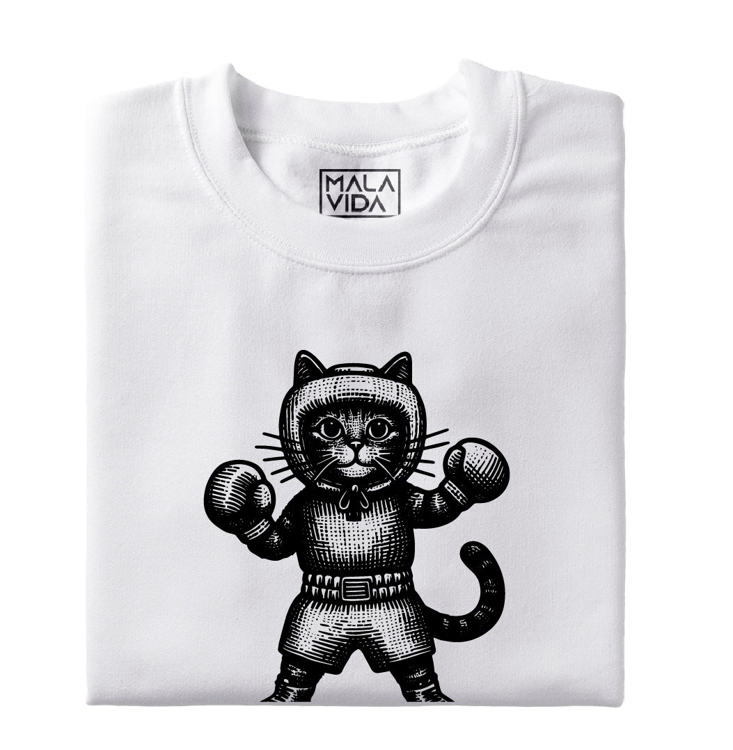 Boxing cat