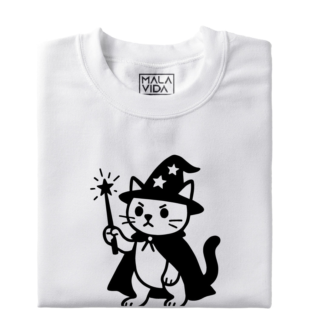 Wizard cat