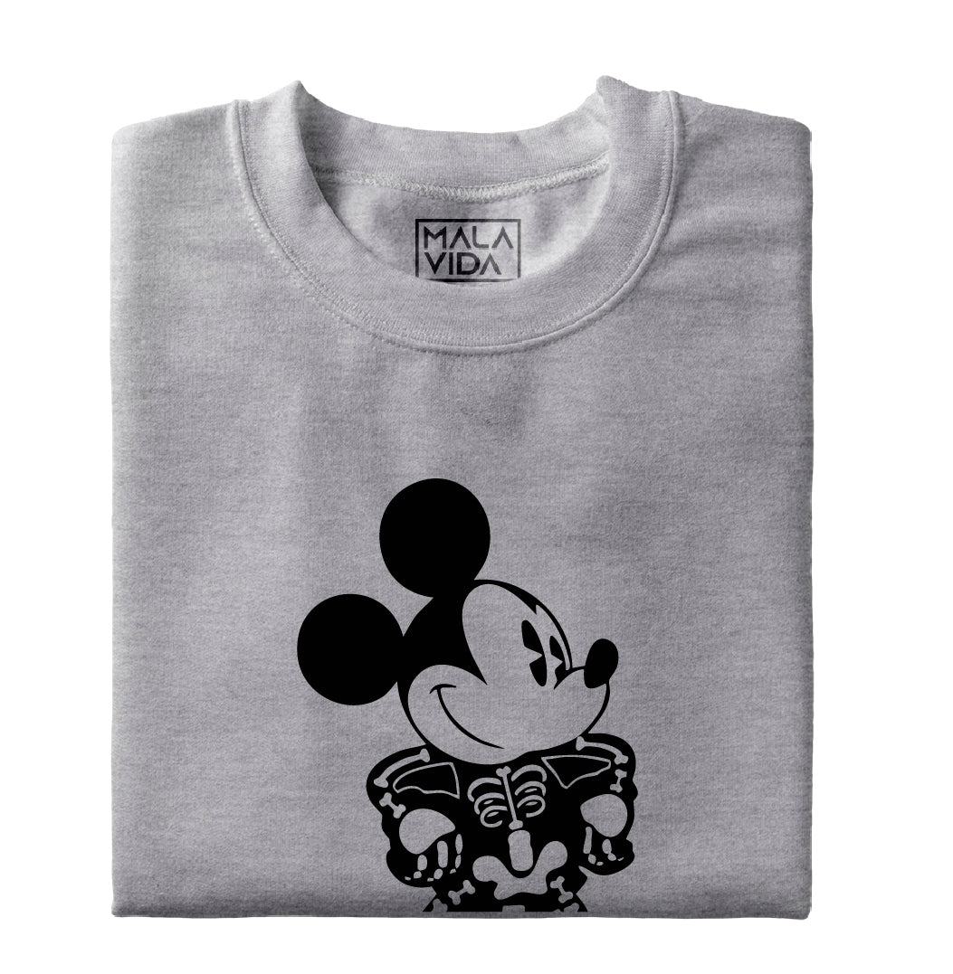 X-ray Mickey