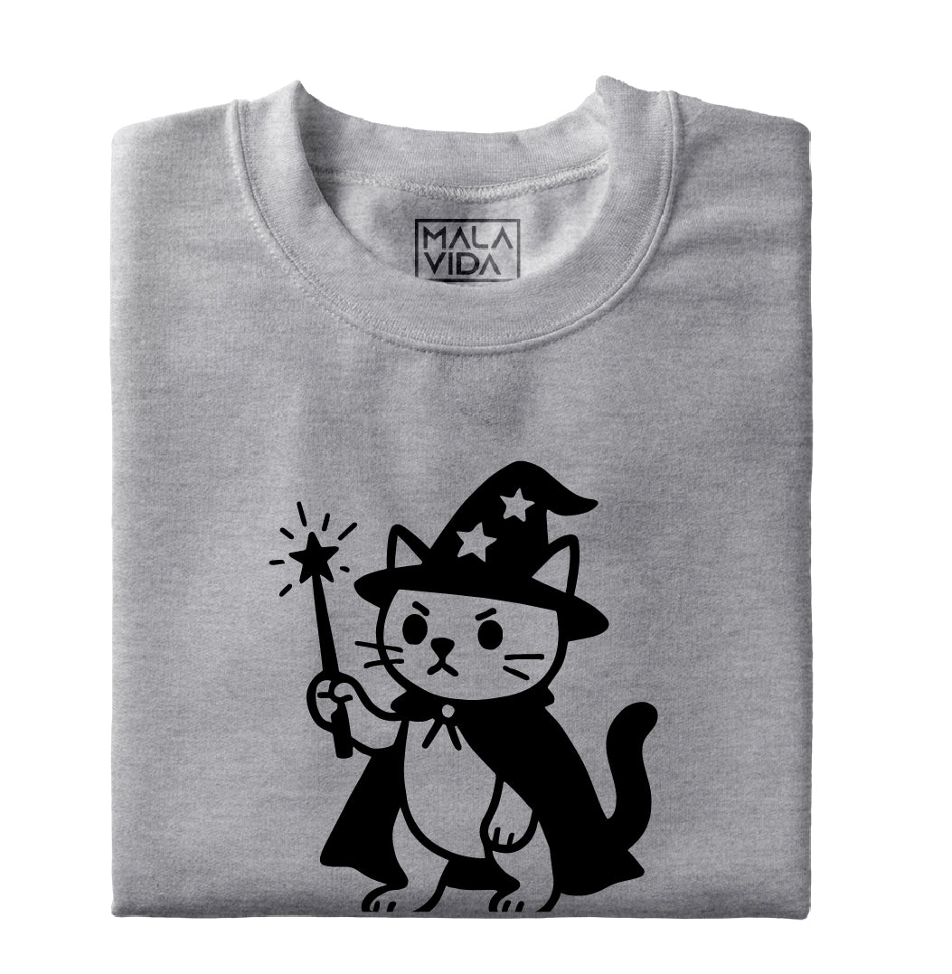 Wizard cat