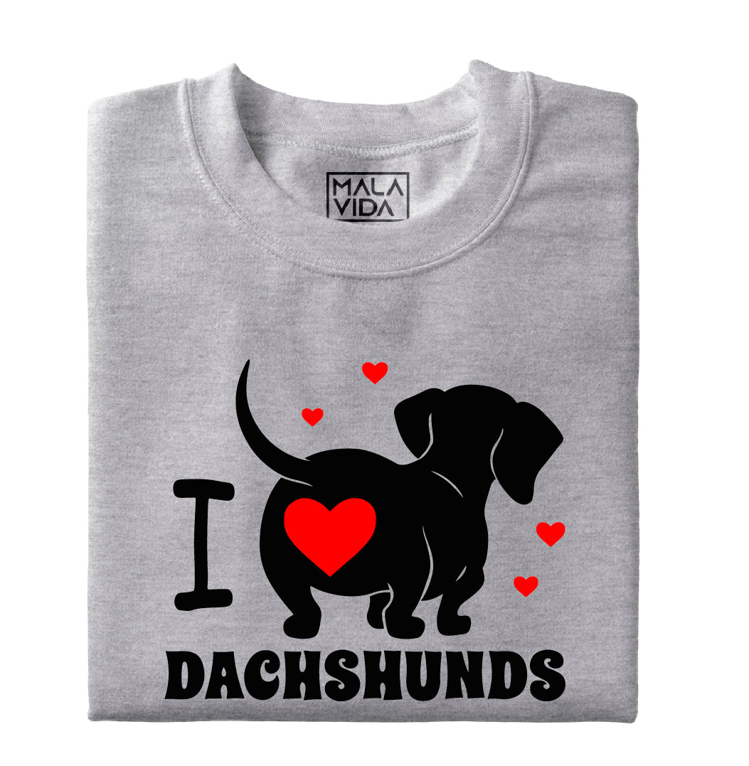 I love Dachshunds