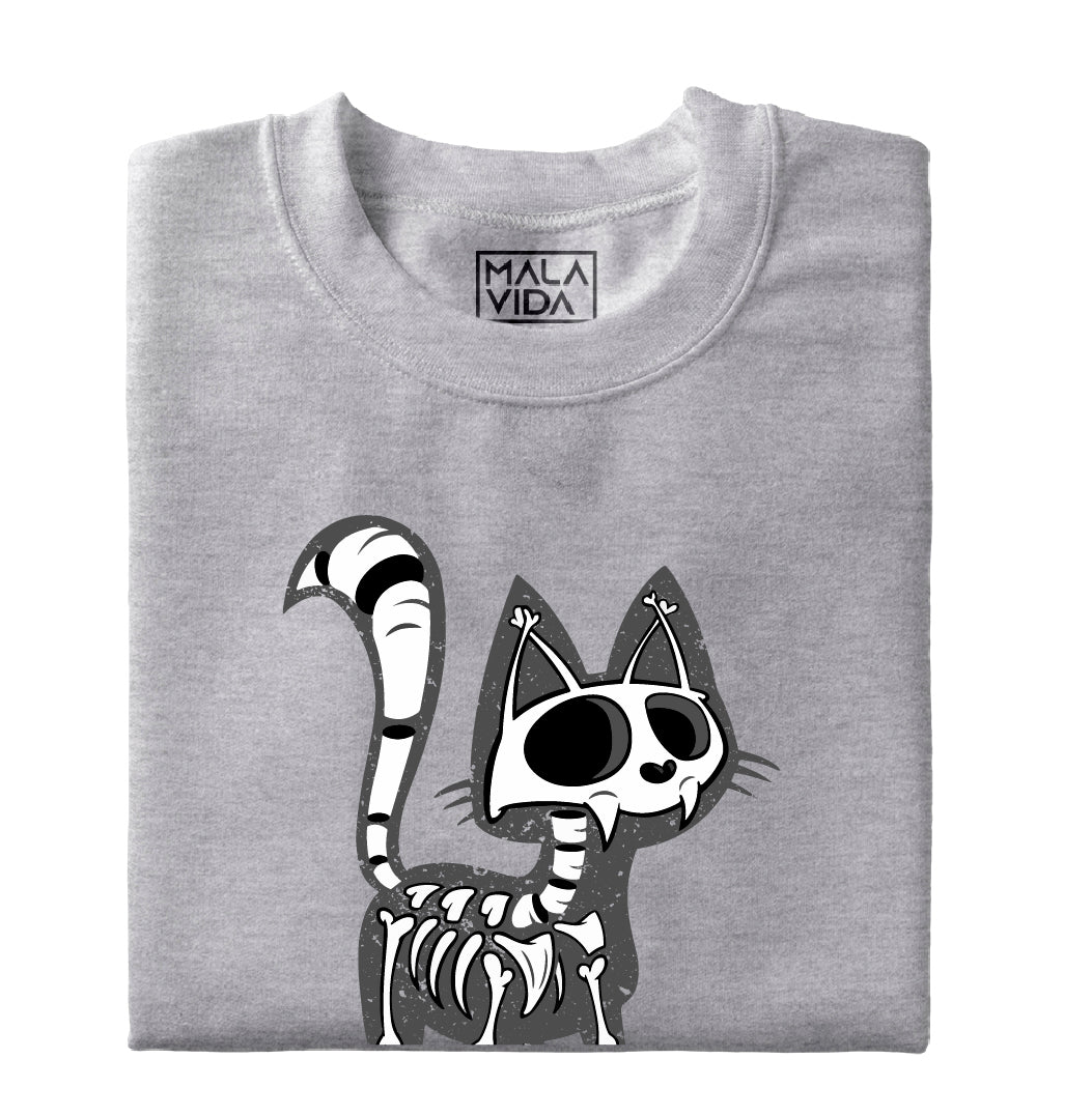 Radiografía de mi gato