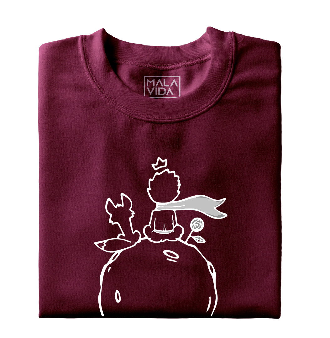 El Principito y Zorro