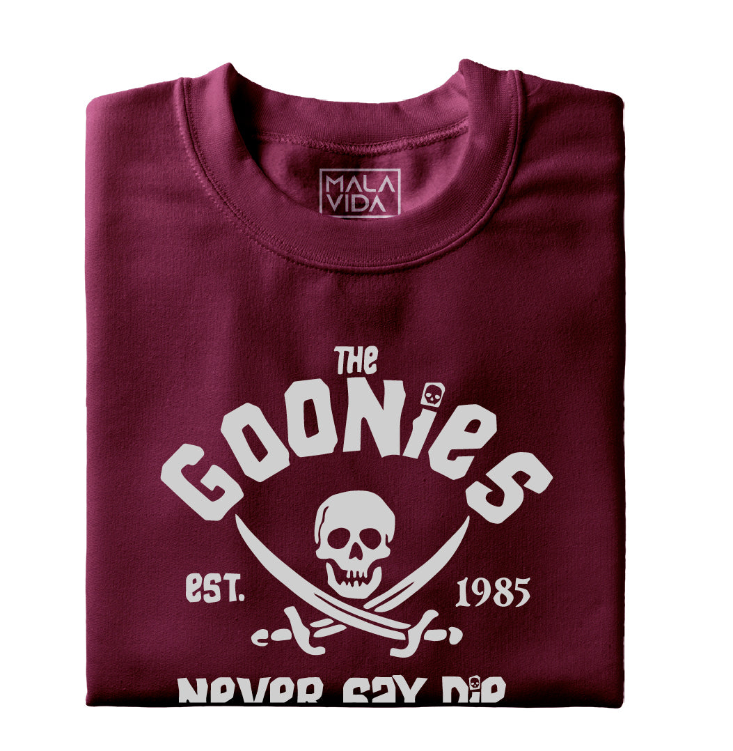 The Goonies - Astoria, Oregon