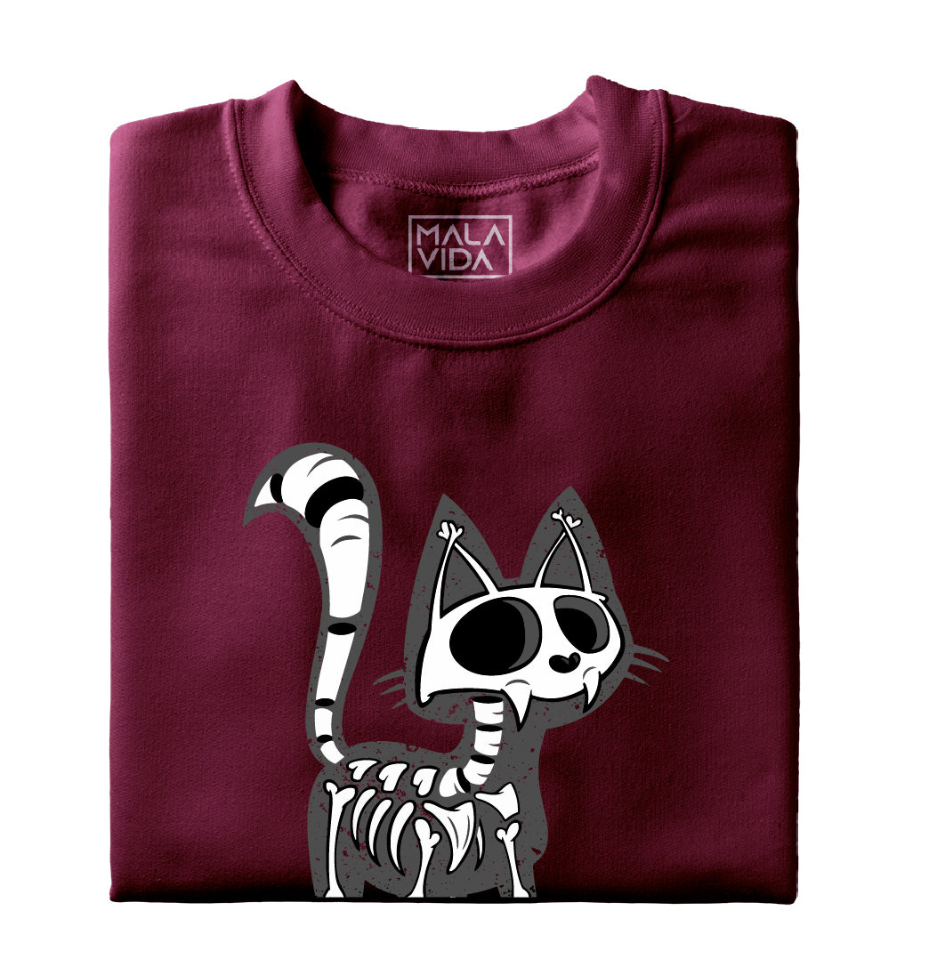 Radiografía de mi gato