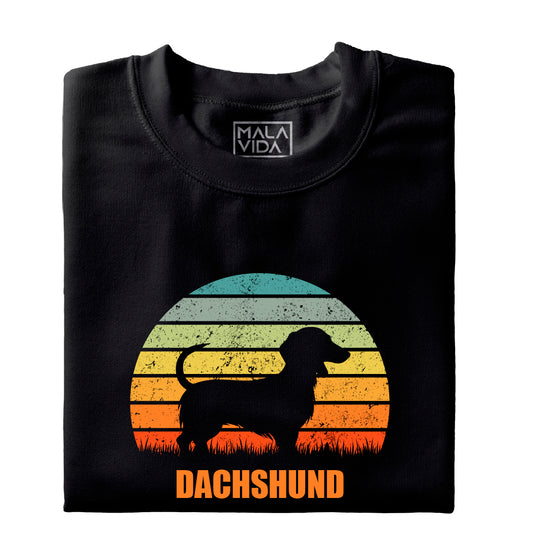 Dachshund 2