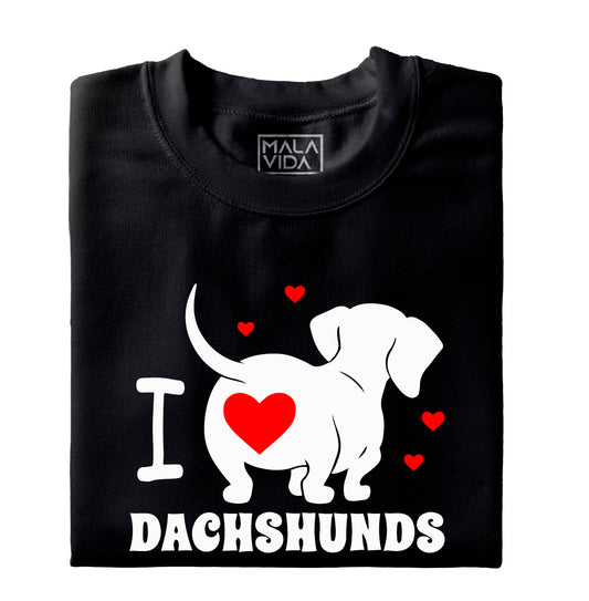 I love Dachshunds