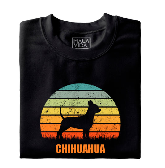 Chihuahua 1
