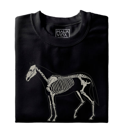 Caballo sistema óseo