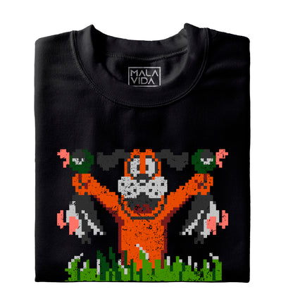 Nintendo Duck hunt