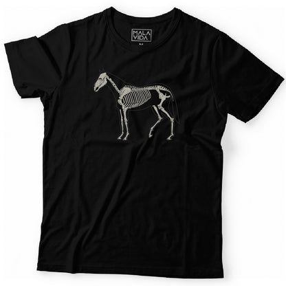 Caballo sistema óseo