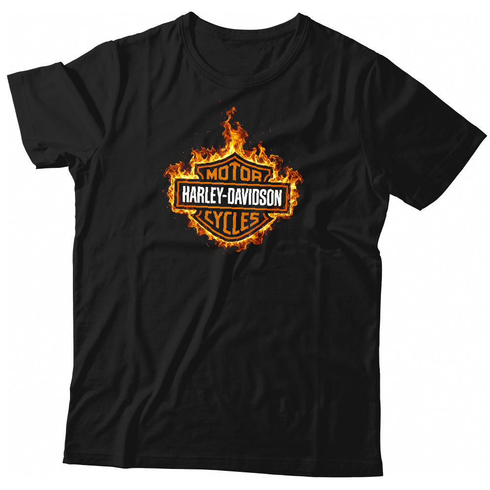 H-D logo in flames