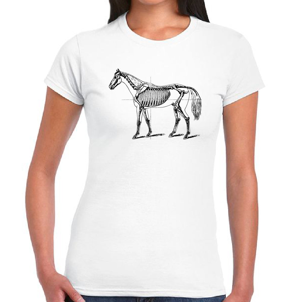 Esqueleto de Caballo