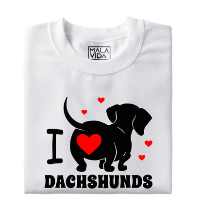 I love Dachshunds