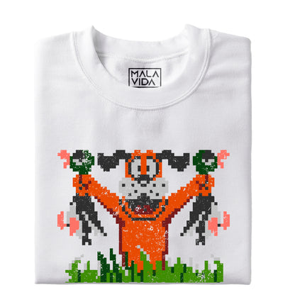 Nintendo Duck hunt