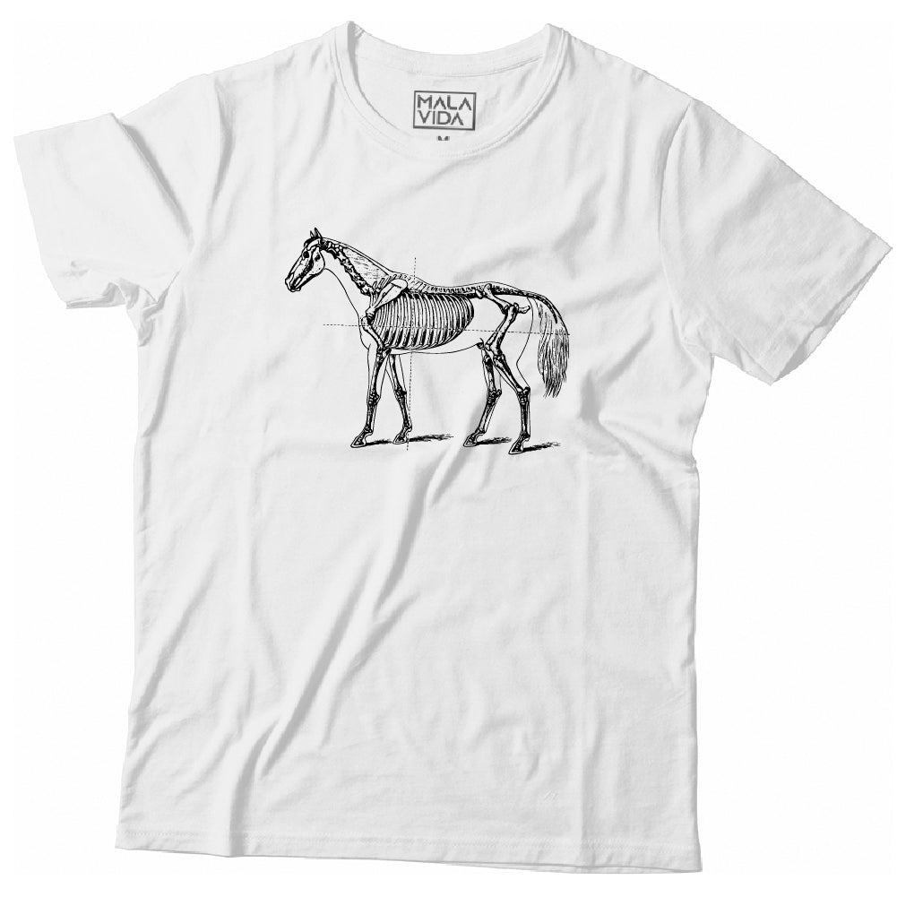 Esqueleto de Caballo