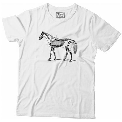 Esqueleto de Caballo