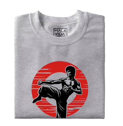 Bruce Lee epic kick