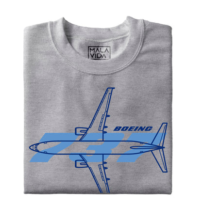 Boeing 737-800 sketch