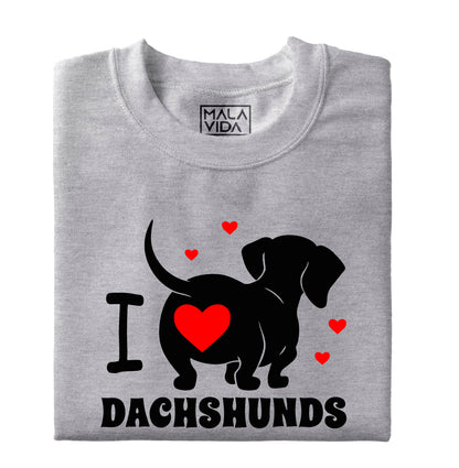 I love Dachshunds