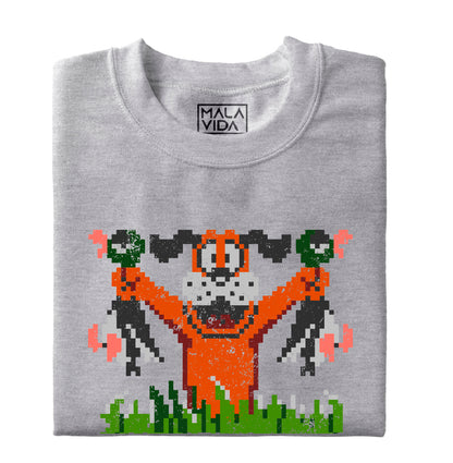 Nintendo Duck hunt