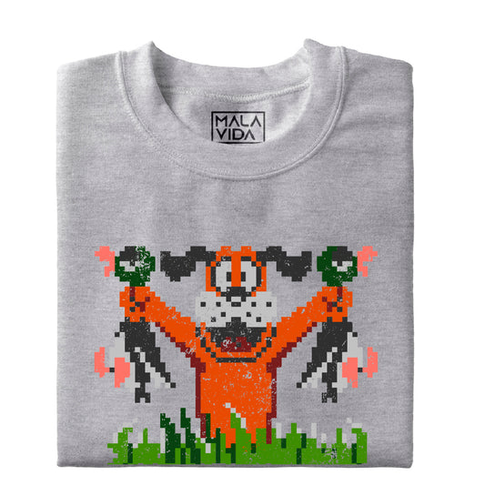 Nintendo Duck hunt
