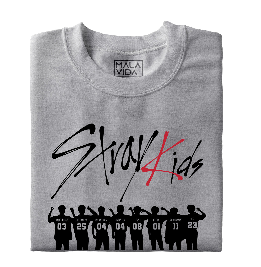 Stray Kids - band