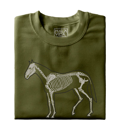Caballo sistema óseo