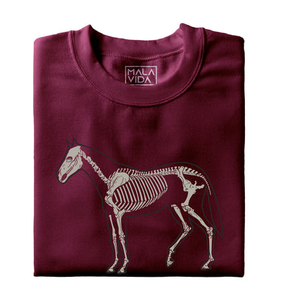 Caballo sistema óseo